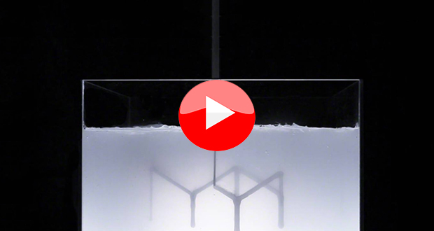 TOP 5 videos of the week: Robots, Glasses and more!