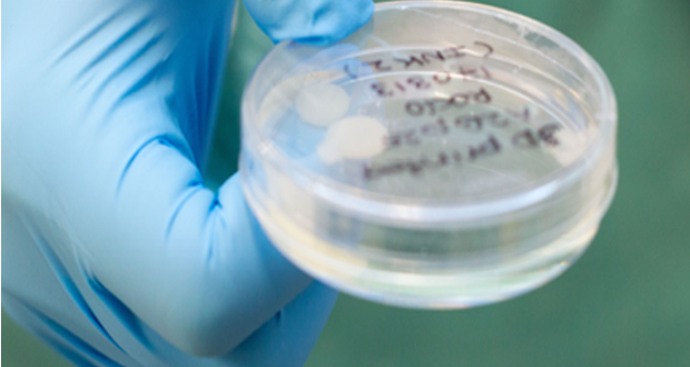 Swedish researchers may have found a way to 3D bioprint human cartilage tissue