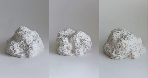 3D printed coralise