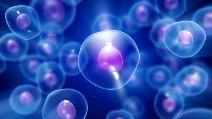 Nano Dimensions Technologies Ltd. announces patent for Bioprinting