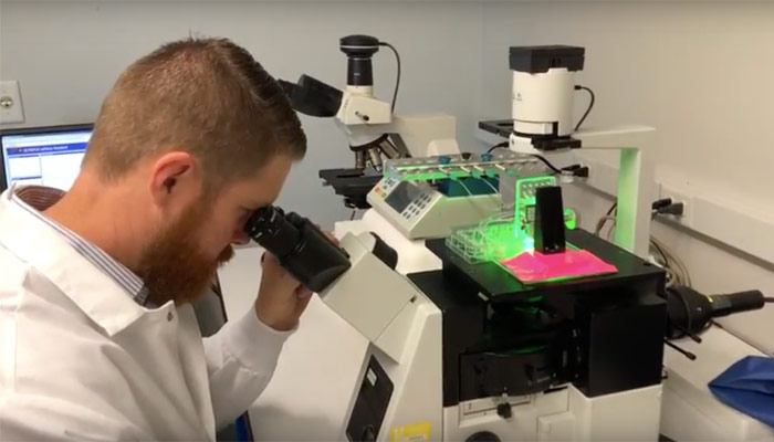 bio-printing ligaments