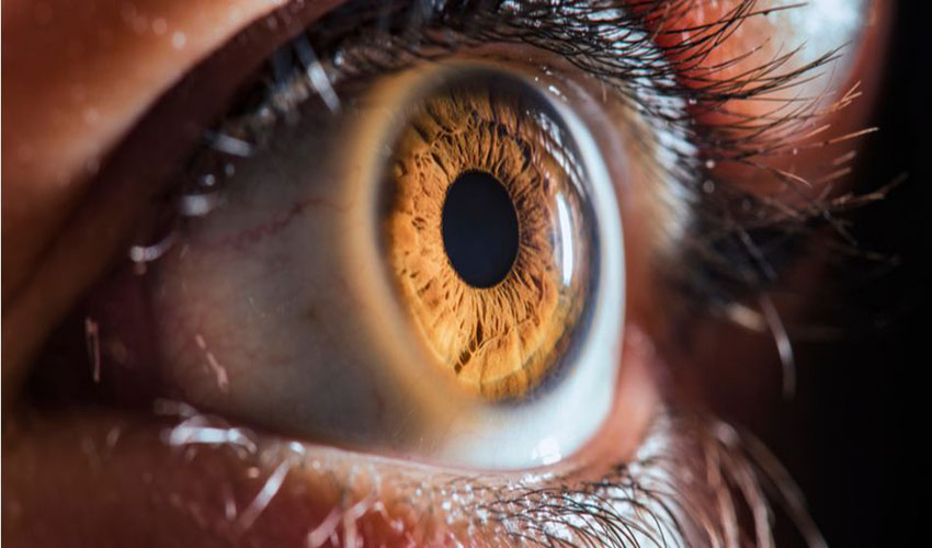 3D printed corneas to prevent corneal blindness