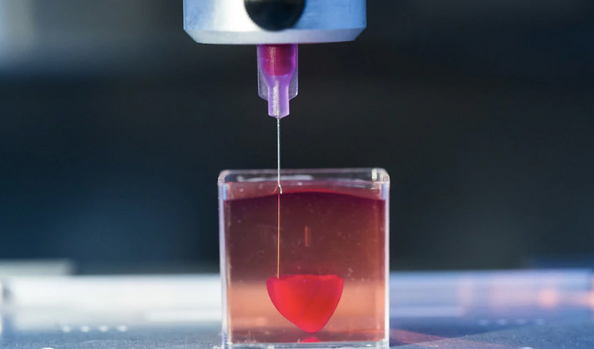 Researchers 3D print a heart with human tissue and blood vessels