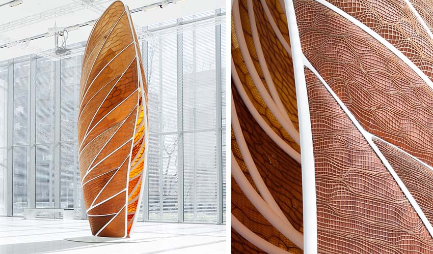 Creating beautiful 3D printed structures inspired by nature