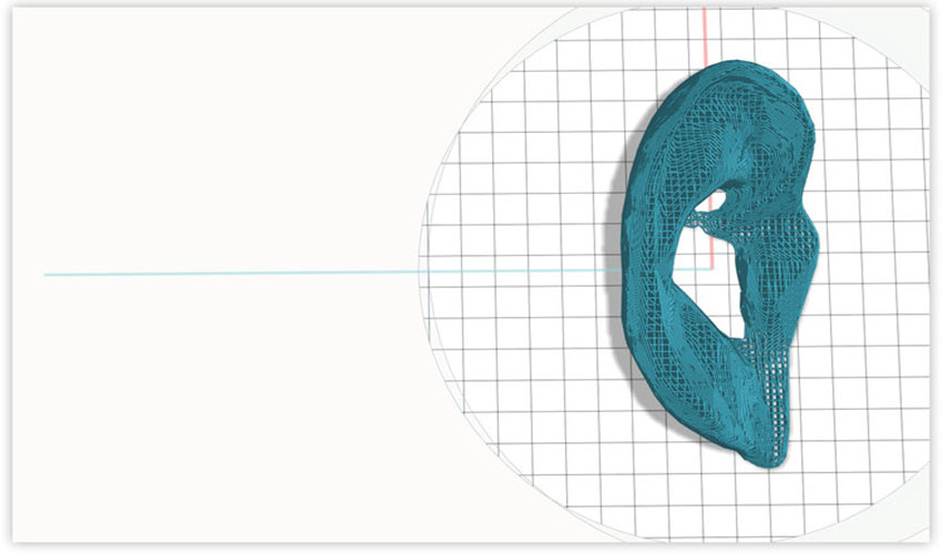 Allevi releases new software for step-by-step bioprinting
