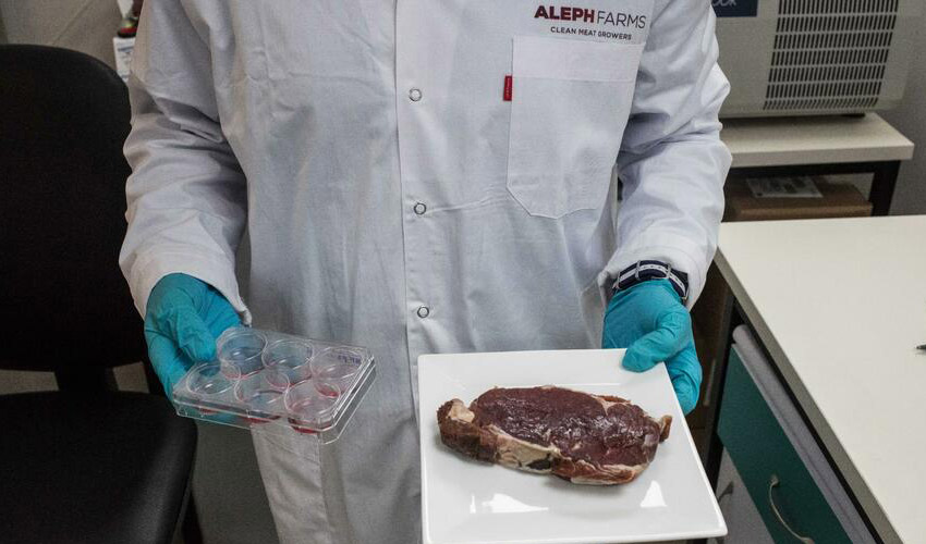 Aleph Farms can produce slaughter-free meat in Space