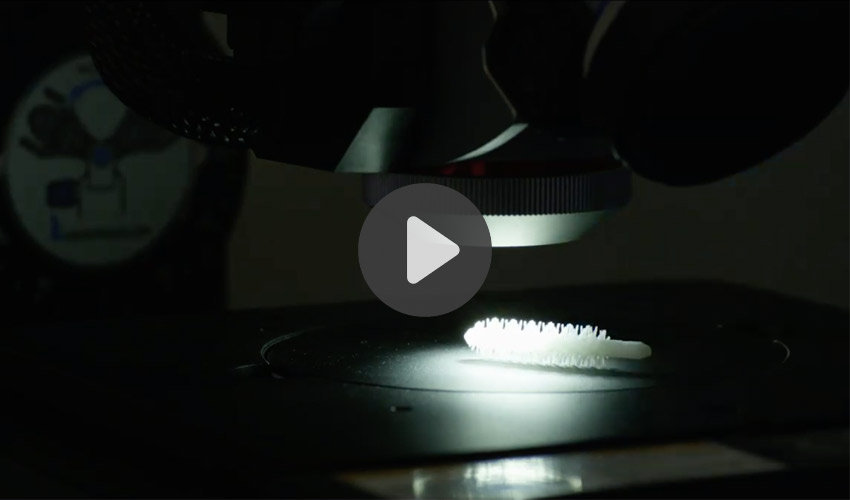Top 5 Videos of the Week: the 3D printing trends for 2020 and much more!