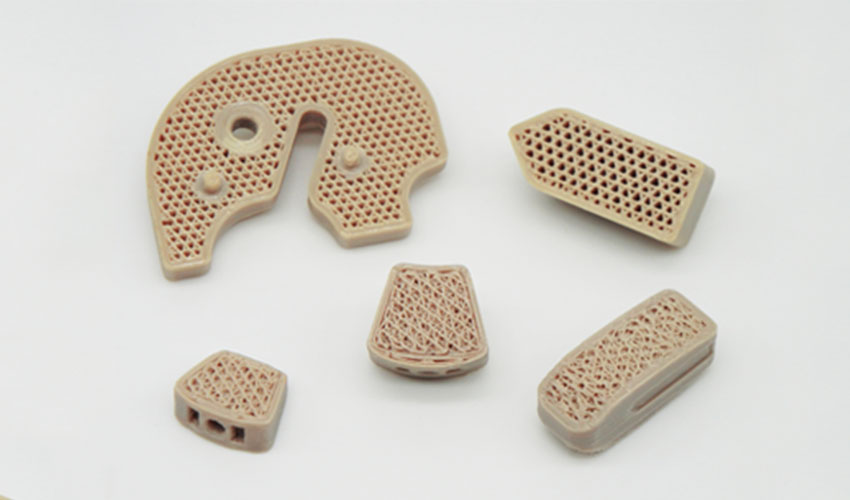 FossiLabs creates PEEK implants to promote bone growth