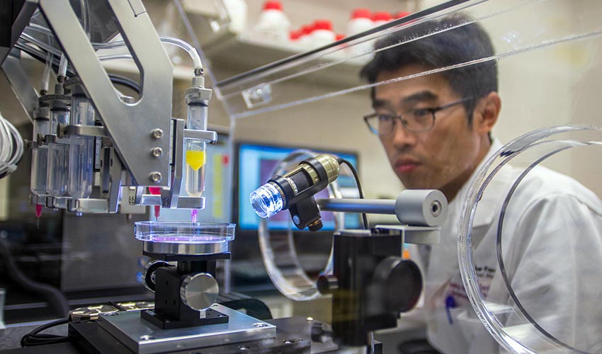 Wake Forest researchers create lab model of the human body