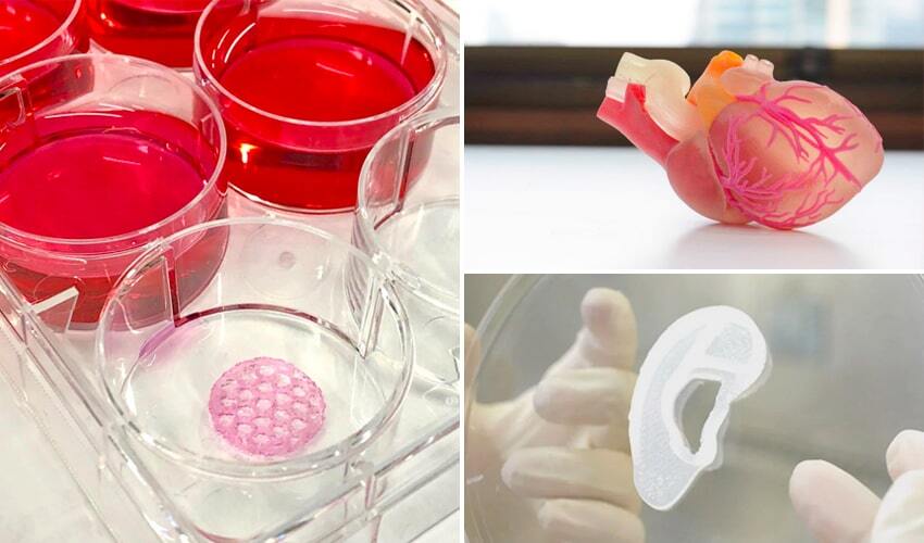 The Most Promising 3D Bioprinting Projects