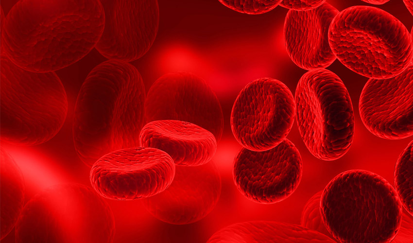 Sciperio aims to bioprint human blood