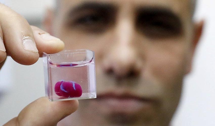 Testing drugs on 3D printed heart tissue