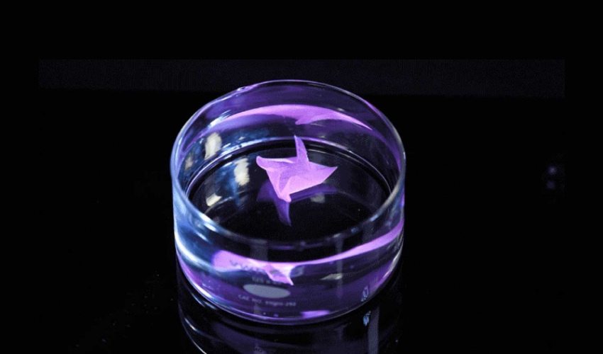 Harvard scientists develop 3D printed shape shift material