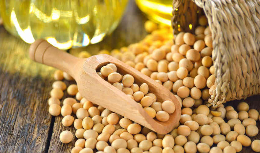Soy, a new 3D printing material?