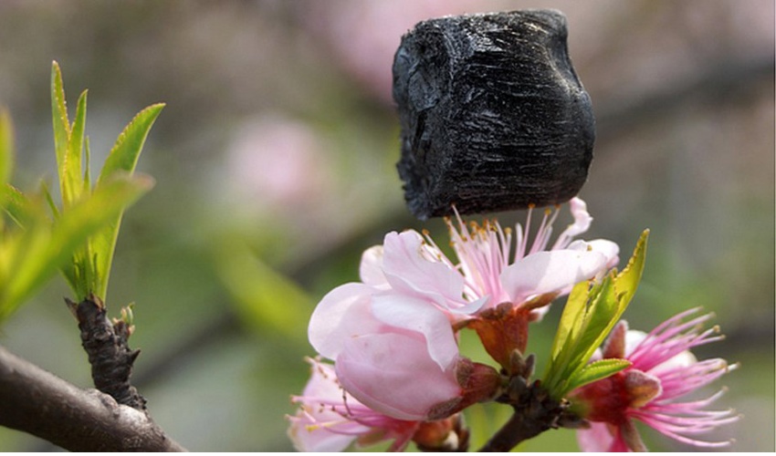 Scientists Use 3D Printing to Filtrate Contaminated Water