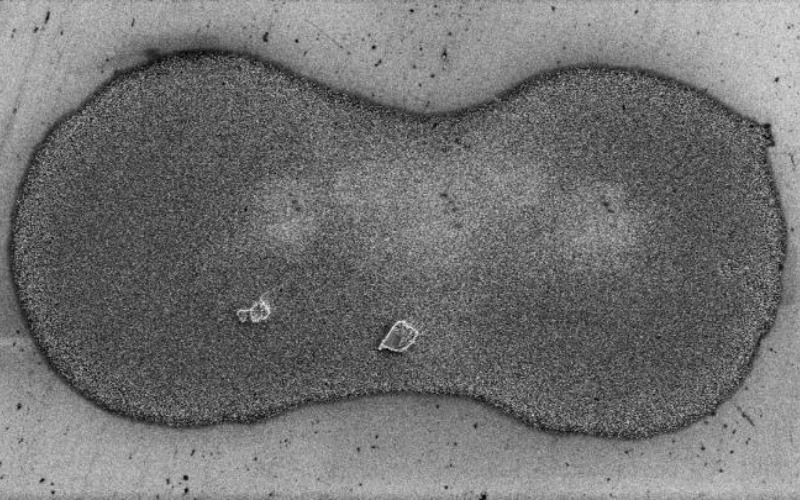 Is Stabilizer Residue in Inks Inhibiting Conductivity in 3D Printed Electronics?