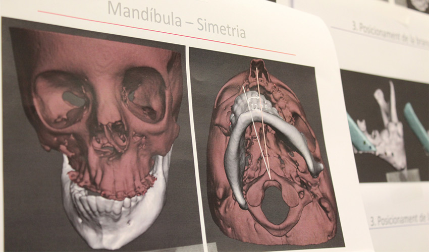 Expert3D on the Importance of 3D Technology Training in the Medical Sector