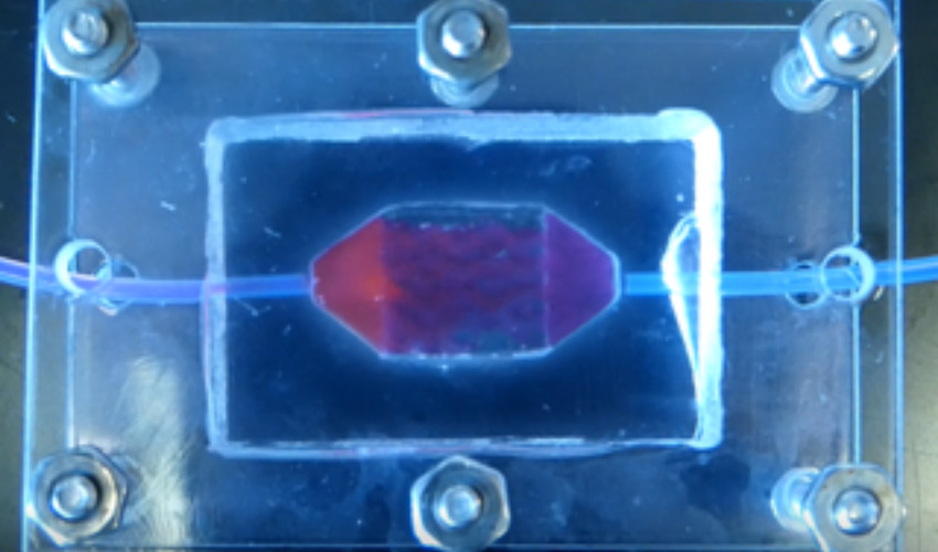 Wake Forest Teams Win NASA Challenge with Functional 3D Printed Liver Tissues