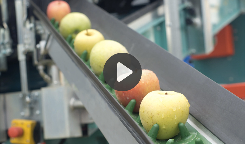 Food plant 3D scanning