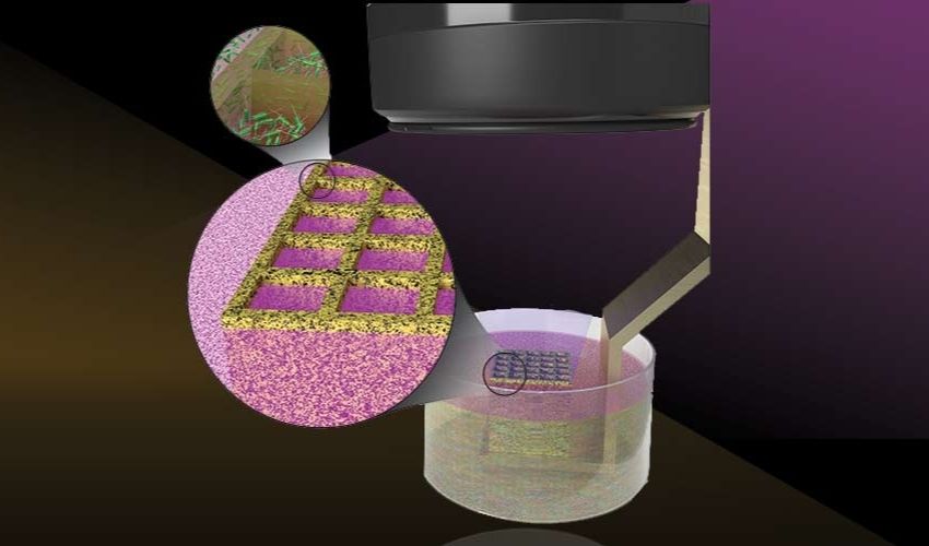 Scientists Develop New Method to 3D Print Living Microbes