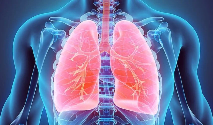 3D Systems and United Therapeutics Unveil 3D Printed Lung Scaffold