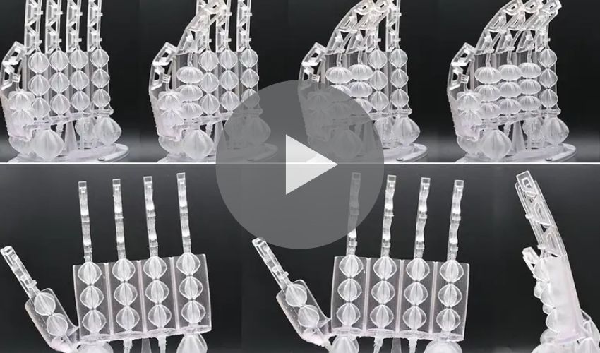 Top 5 Videos: 3D Printed Artificial Muscles