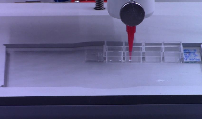 Study Suggests Benefits of 3D Bioprinting In Plant Cell Research