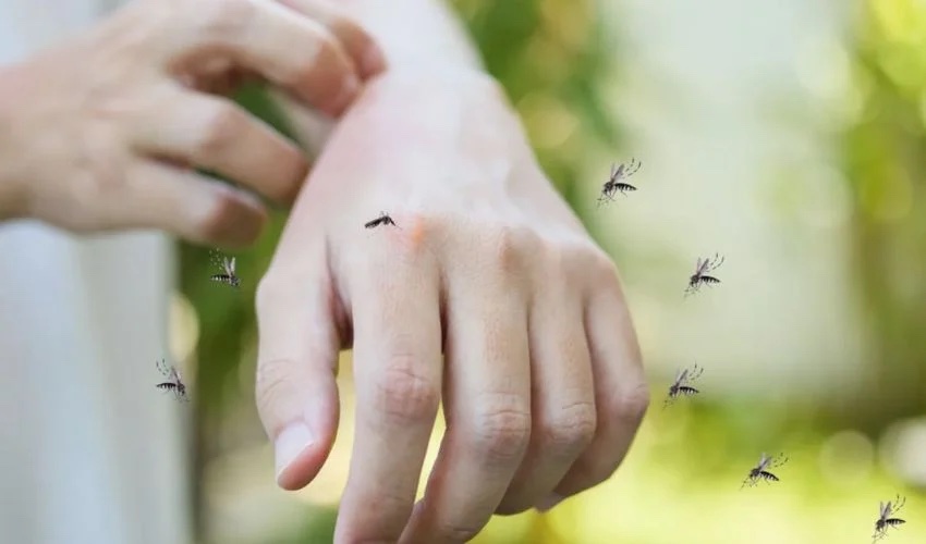 3D Printing Is Being Used to Make a Safer Mosquito Repellent