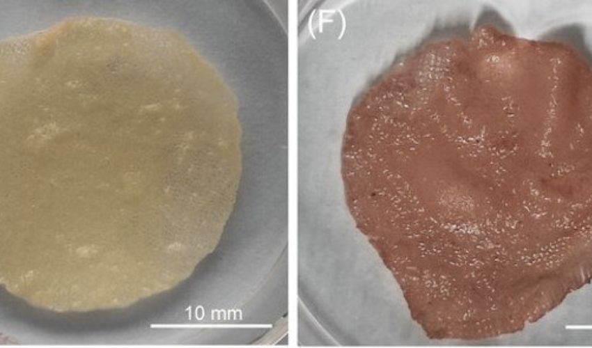 New Ink for Emerging 3D Printing Technology to Make Cheaper Cultured Meat