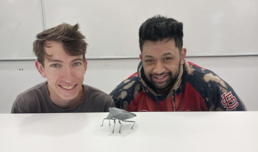 3D Printed Bug Project Raises Awareness of Biosecurity Threat in New Zealand