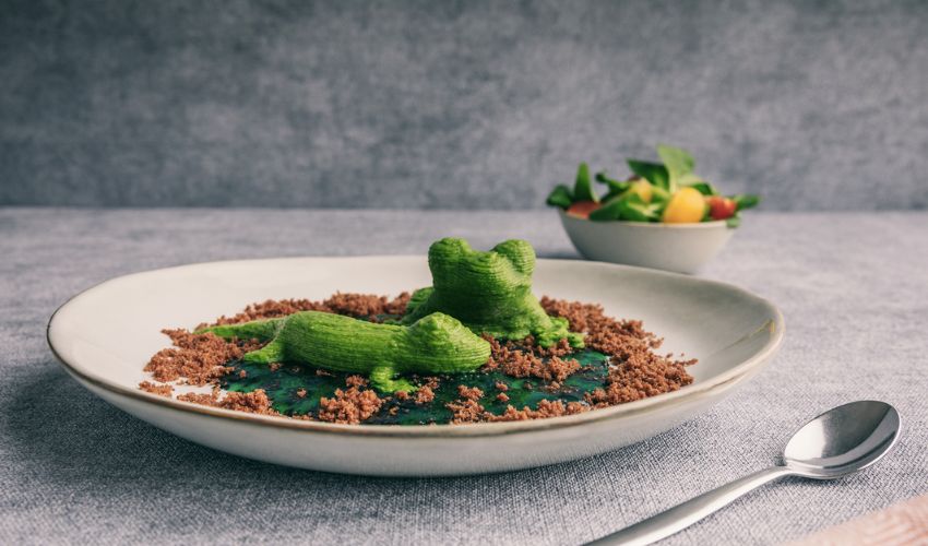 #3DStartup: Gastronology’s 3D-Printed Food Can Help Patients With Eating Difficulties