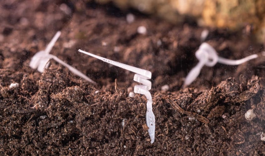 The I-Seed: a 4D Printed Robot Capable of Analyzing Air and Soil Quality