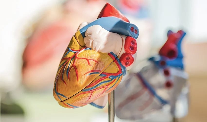 Cardiopatch, a Project That Relies on 3D Printing to Treat Heart Problems