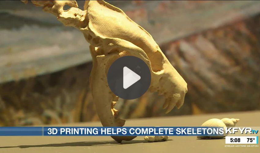 Top 5 Videos: Palaeontologists Use 3D Printing to Complete Skeleton of Prehistoric Bear