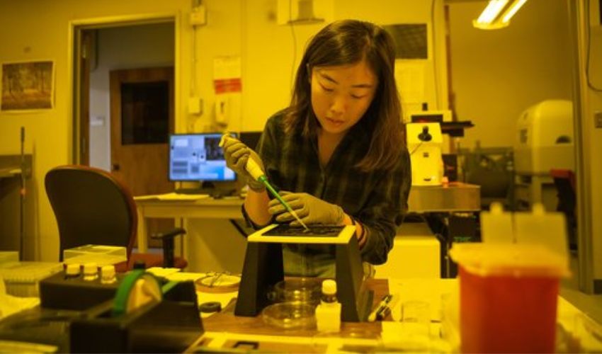 Caltech Progresses Research Into Nanoscale 3D Printed Metals