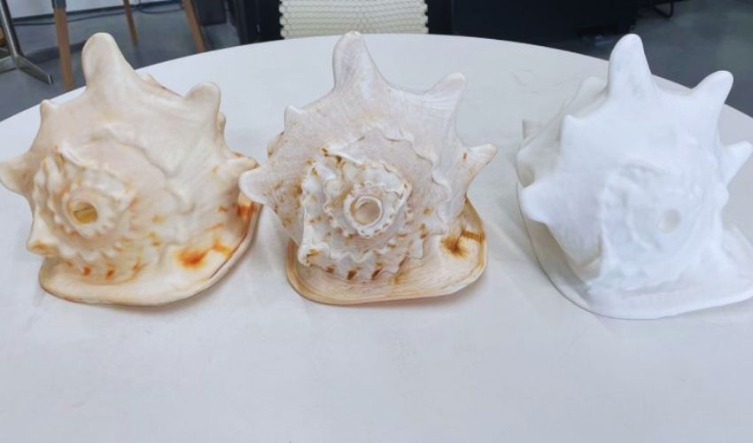 Safeguarding Māori Heritage with 3D Printing