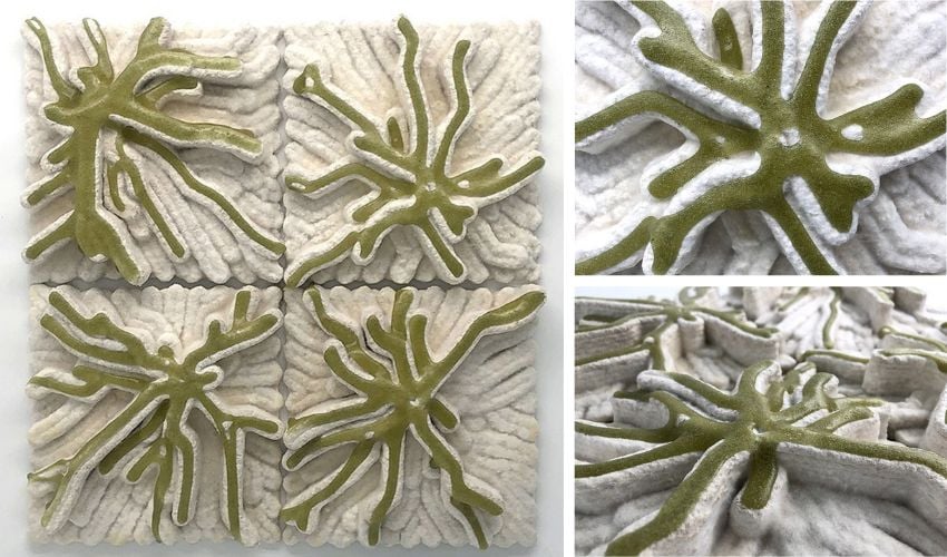 MYCO ALGA: 3D Printed Organic Tiles for Natural Aesthetics