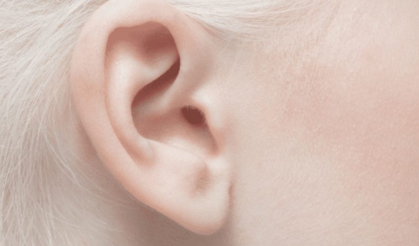 Cornell Revolutionizes Realistic Ear Grafts With 3D Printed Ear