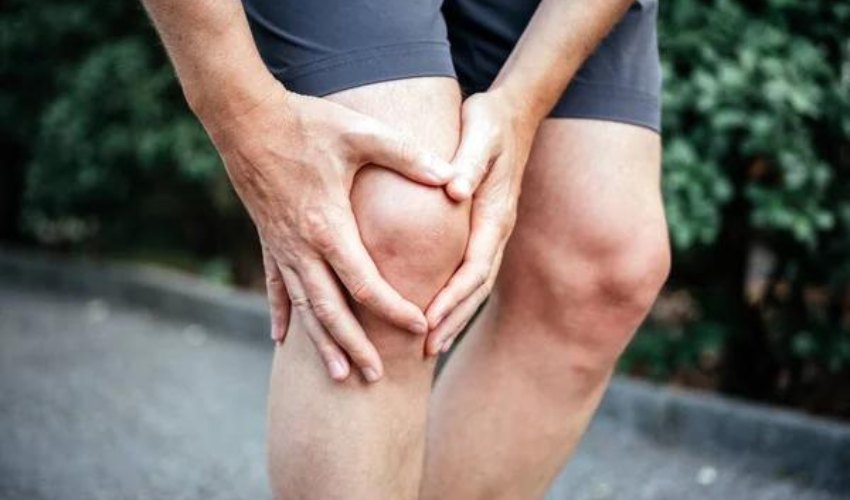 3D Printed Silk Bio-Ink Shows Potential for Knee Meniscus Repair
