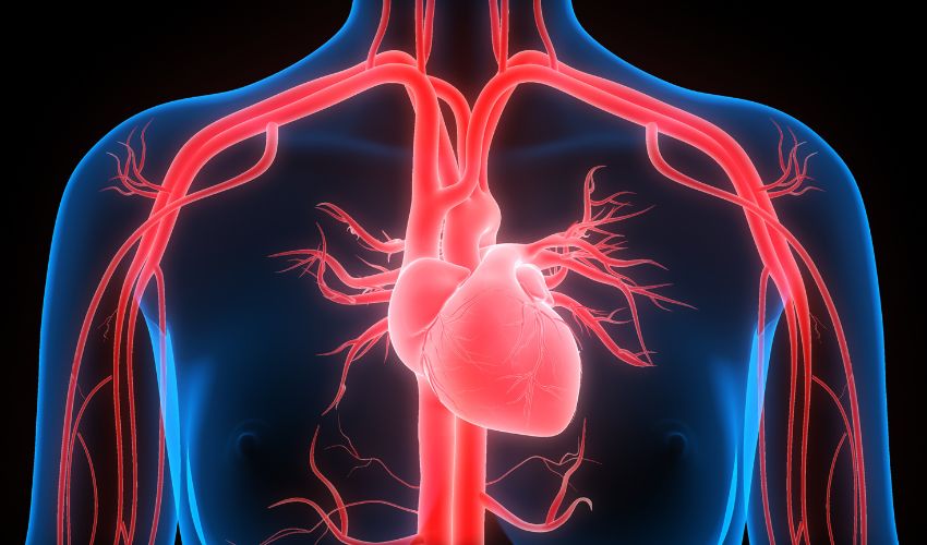 Improving Cardiovascular Surgical Outcomes with 3D Printed Grafts