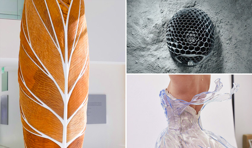 The Top Biomimicry Projects Using 3D Printing