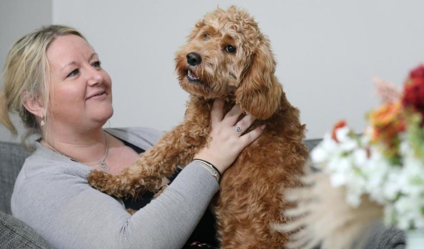 3D Printed Spinal Implants Restore Mobility to Paralyzed Puppy