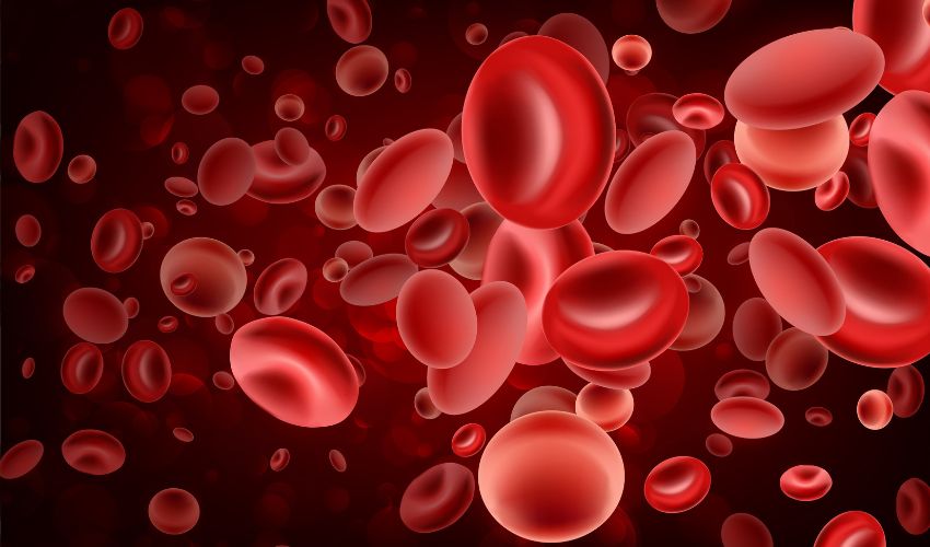 3D Printed Blood Vessels Expected to Improve Heart Bypass Outcomes