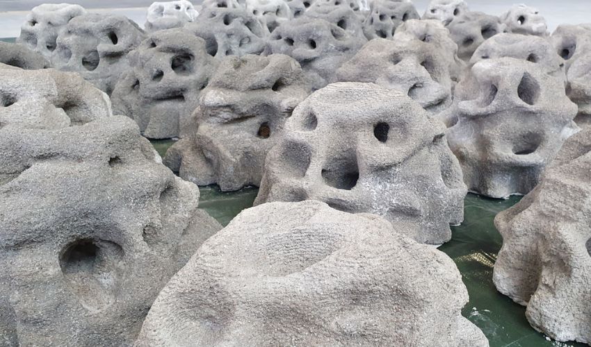 Coastruction 3D printed Reefs