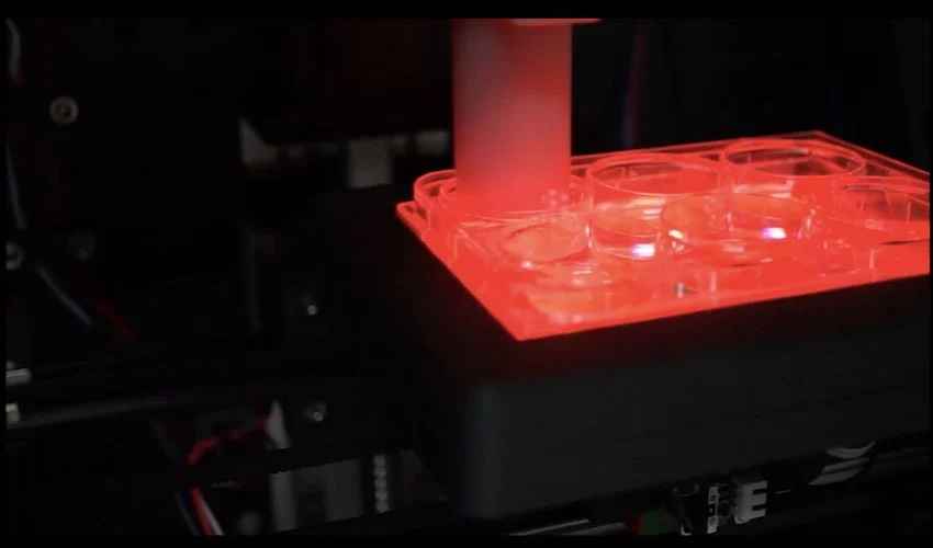 Dynamic Interface Printing