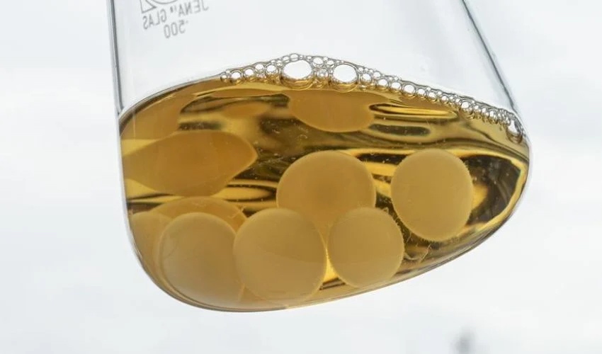 3D-printed fungal battery