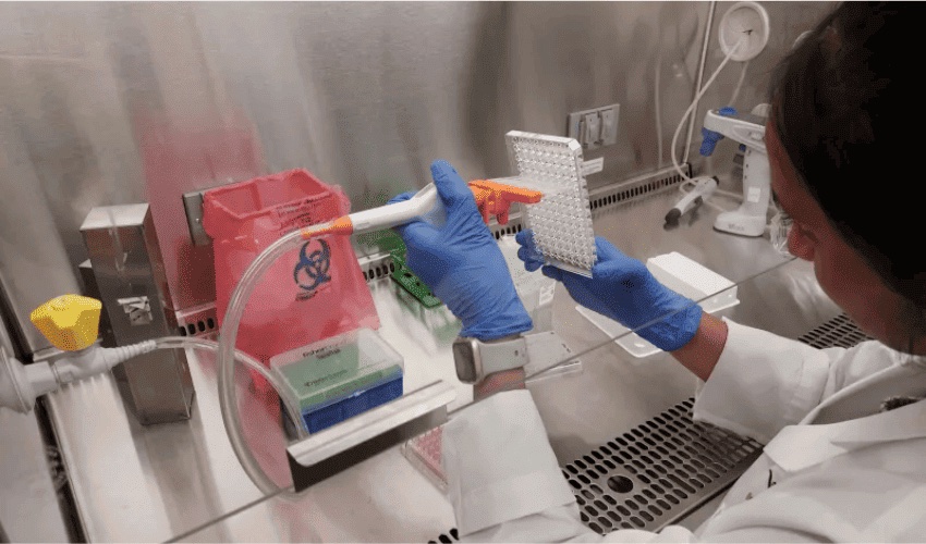 3D printed lung tissue
