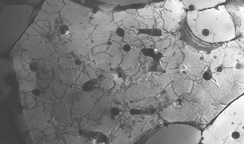 quasicrystal