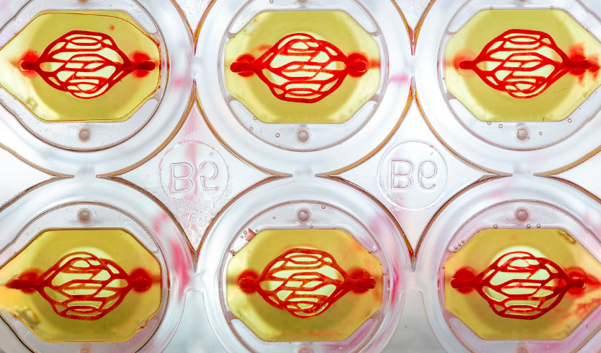 Systemic Bio Accelerates Drug Development in 3D Using Hydrogels and Human Cells
