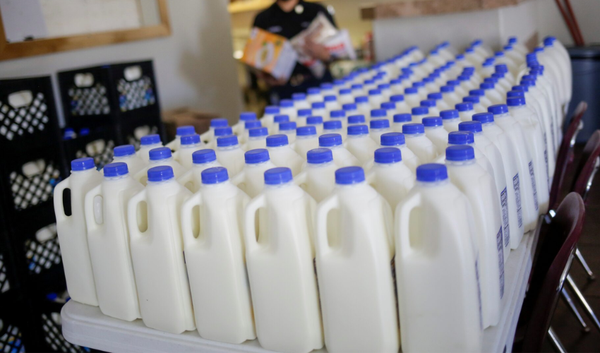 Wisconsin Researchers Transform Dairy Waste for 3D Printing